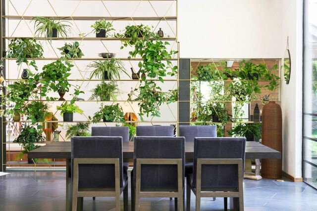 vách ngăn bằng cây xanh