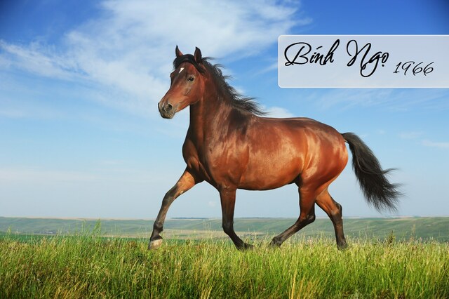 hướng bếp tuổi Bính Ngọ 1